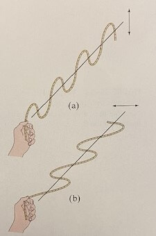 Light polarization example